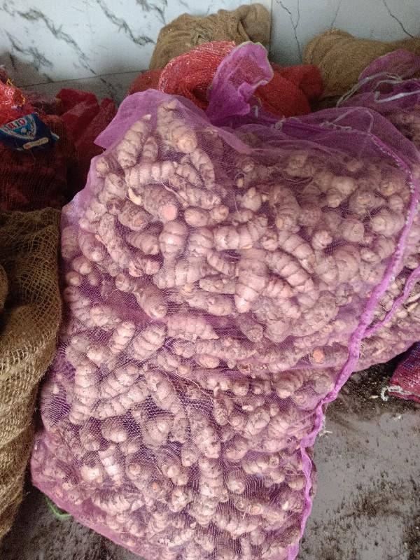 હરદર નુ બિયારણ વેચવાનુ છે.