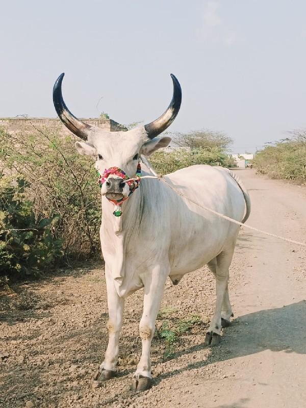 थंबनेल 2