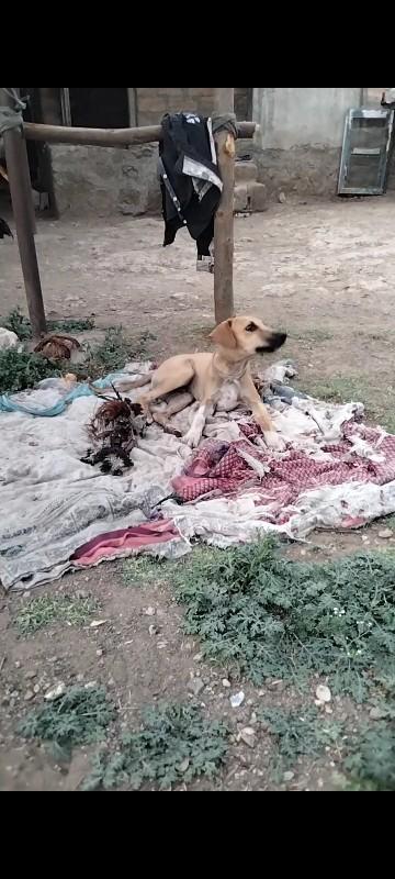 थंबनेल 2