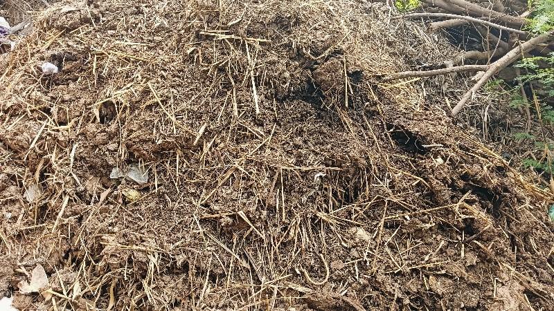 છાણીયું ખાતર વેચવાનું છે.