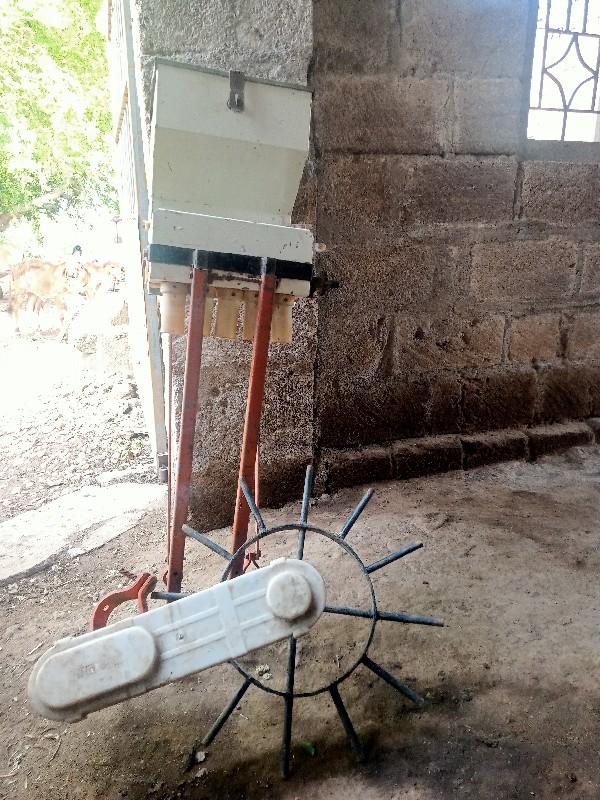 ઓરણી વેચવાની છે