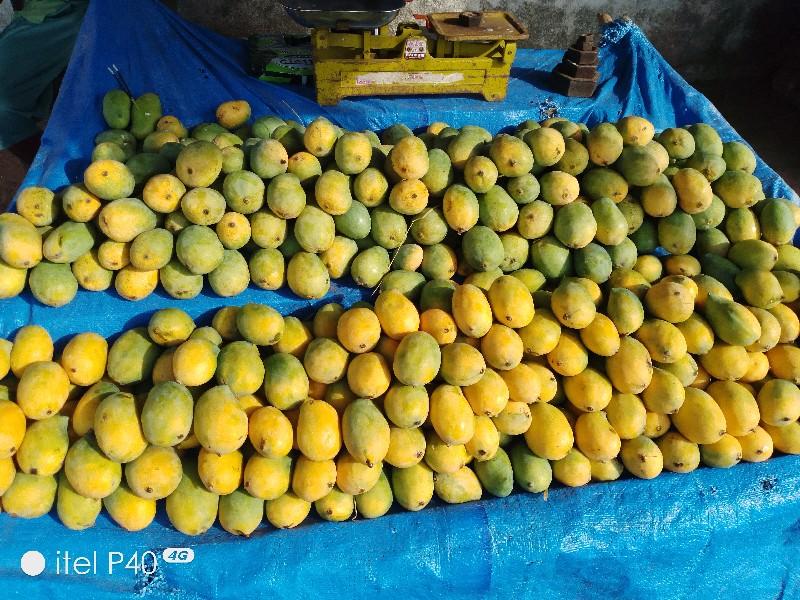 કેરી પાકી 100,‌રૂ કીલો