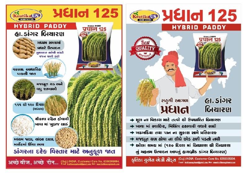 ડાંગર બીયારણ . પ્રધાન 125