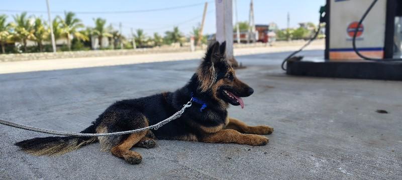 થંબનેલ 3