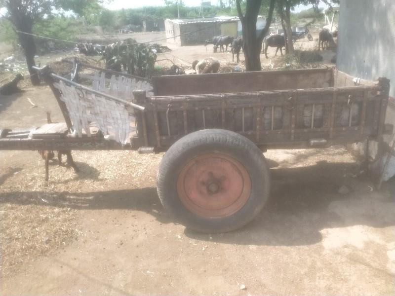 gadu bechva Nu se9925659327ધીરૂભા