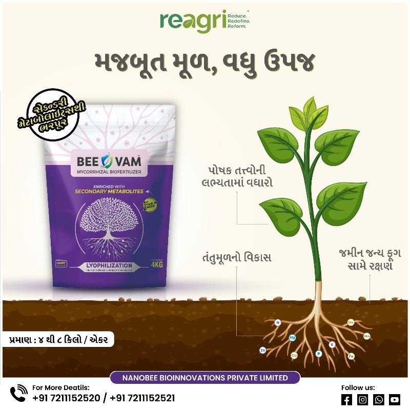 બી વામ દાણાદાર