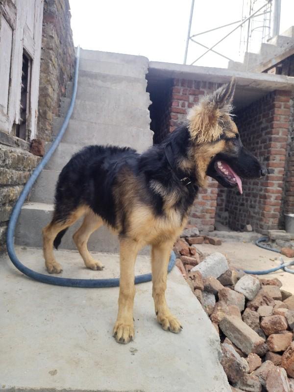 थंबनेल 3