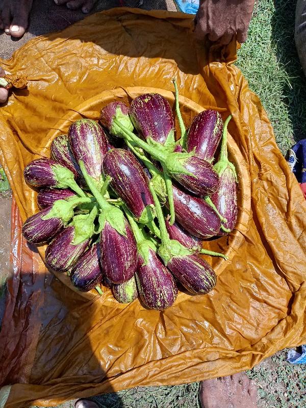 બકાલુ રીંગણા મુંબઈ સુપર