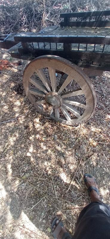 થંબનેલ 3