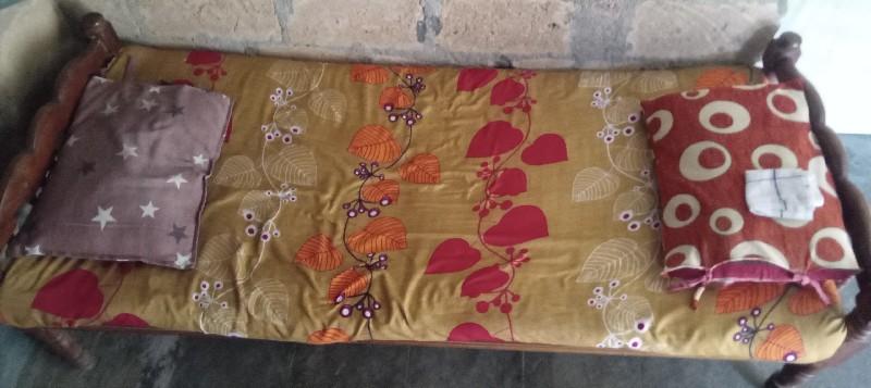 seti 2  gir kabri original  vachadi