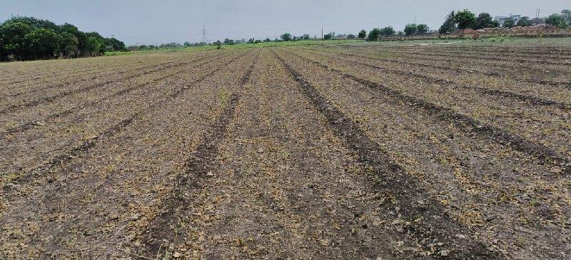 18 વિઘા જમીન વેચવાની છે