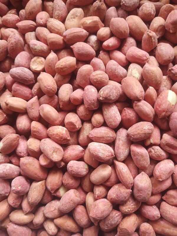 20 નંબર દાણા વેચાણ છે