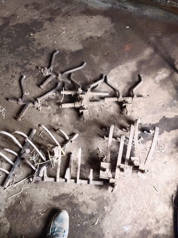 વાંકા બલુગીયા ફોલ્ડિંગ બેલા મીંદડી