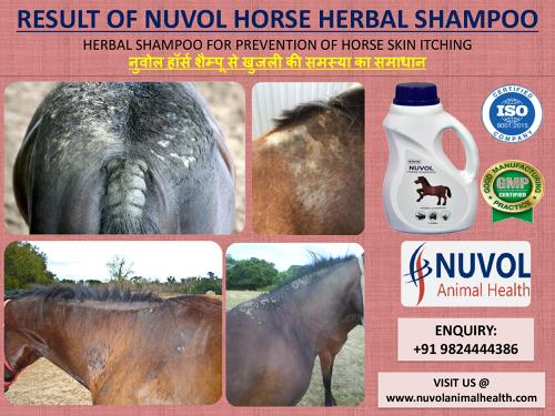 NUVOL Horse Shampoo - નુવોલ હોસઁ શેમ્પૂ