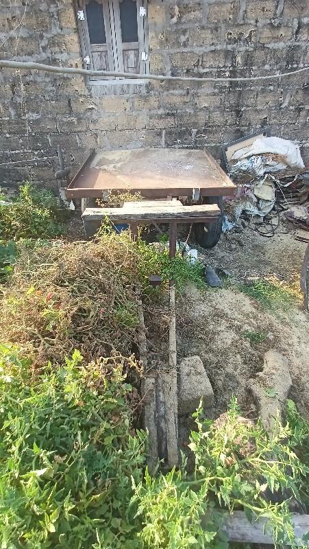 થંબનેલ 2