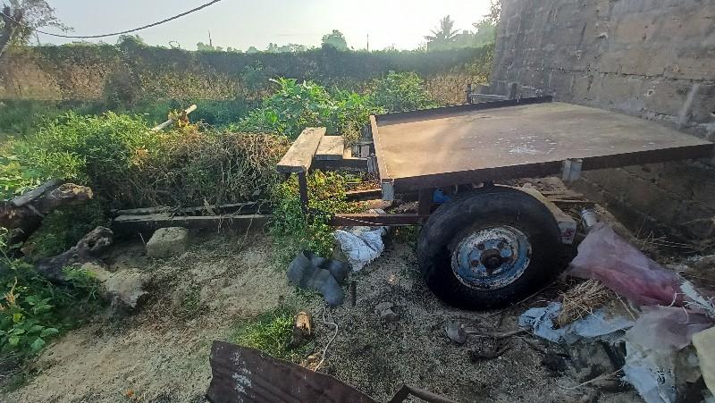 થંબનેલ 3