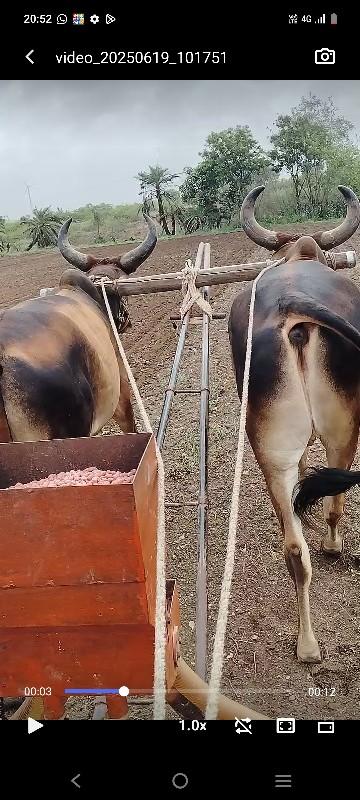 થંબનેલ 2