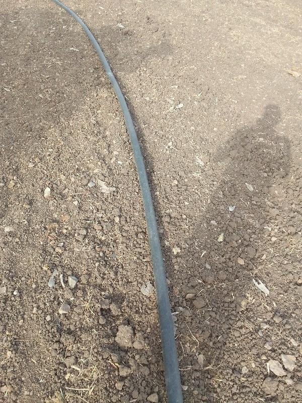 રસો.બંબો