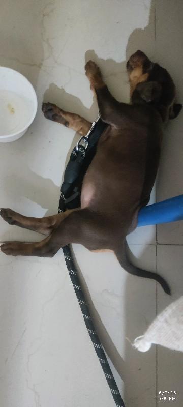 થંબનેલ 2