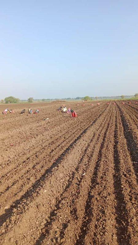 थंबनेल 2