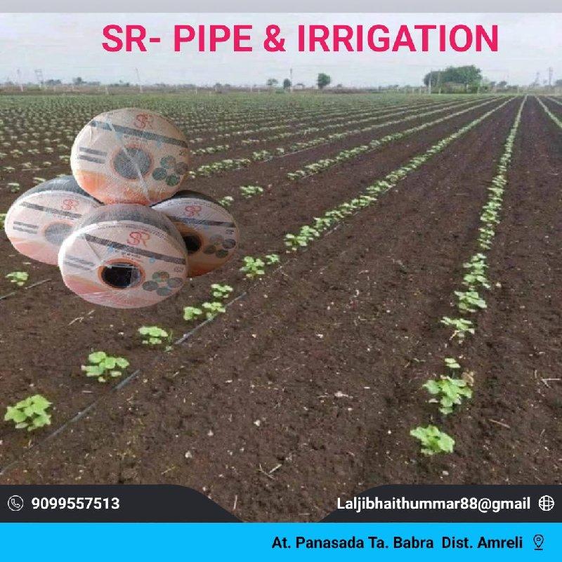 થંબનેલ 6