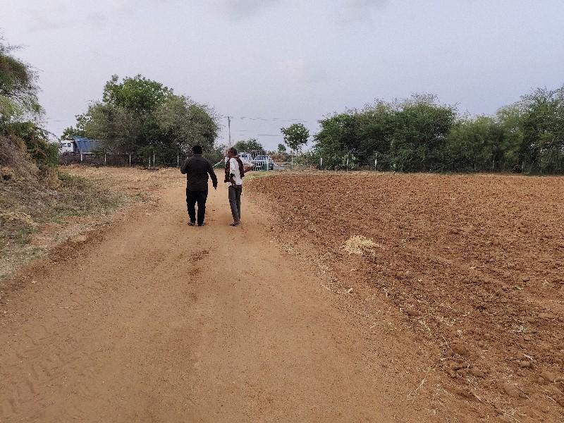 વાડી વેચવાની છે