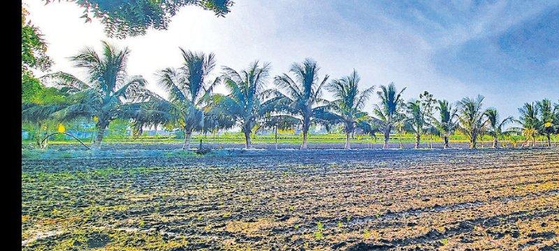 5 વિઘા જમીન વેચવાની છે.