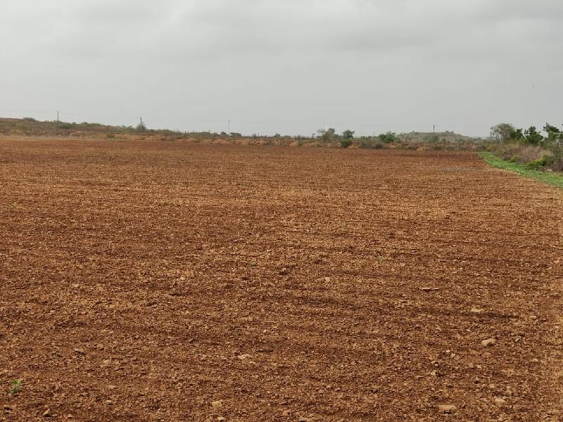 જમીન વેચવાની છે