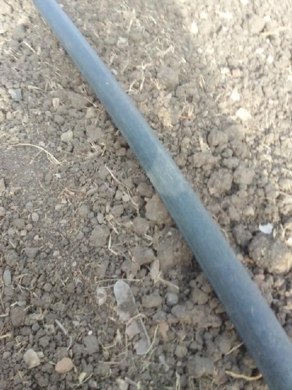 રસો.બંબો