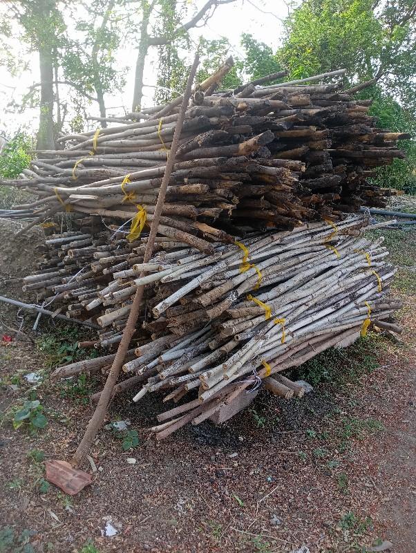 વાસ / બંબુ