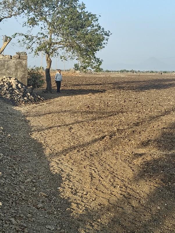 ખેતી ની જમીન