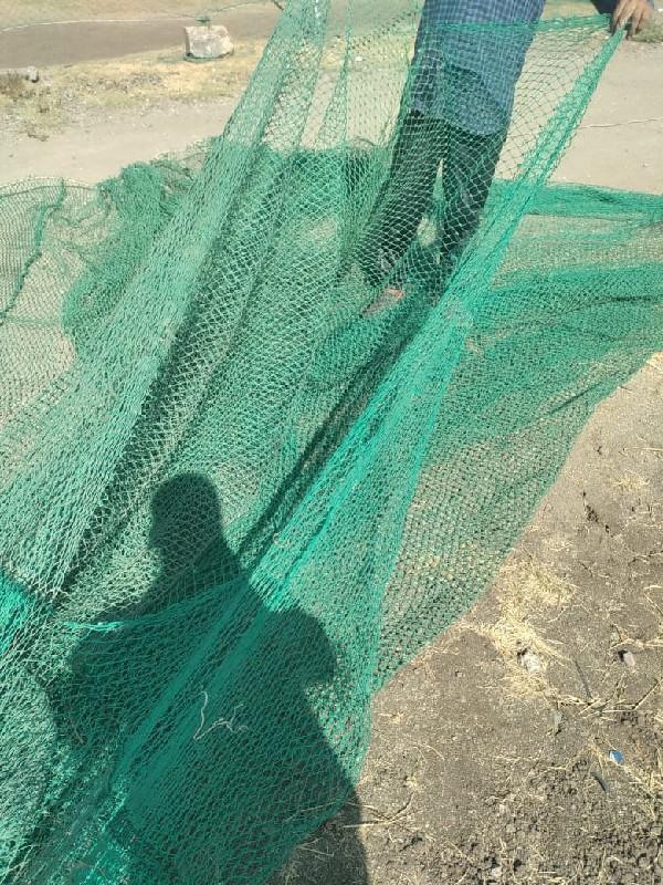 वादि मां बांघवाना जार मरशे