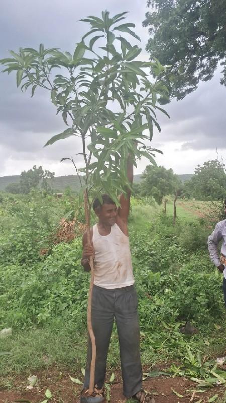 थंबनेल 3