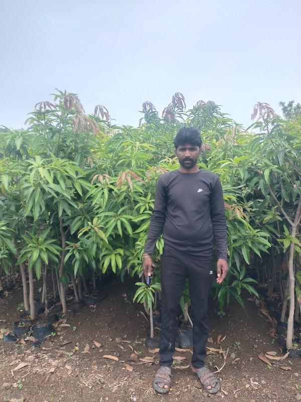 थंबनेल 3