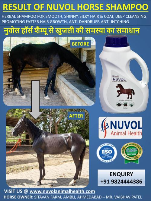 थंबनेल 4