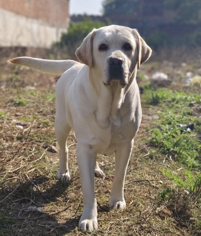 थंबनेल 2