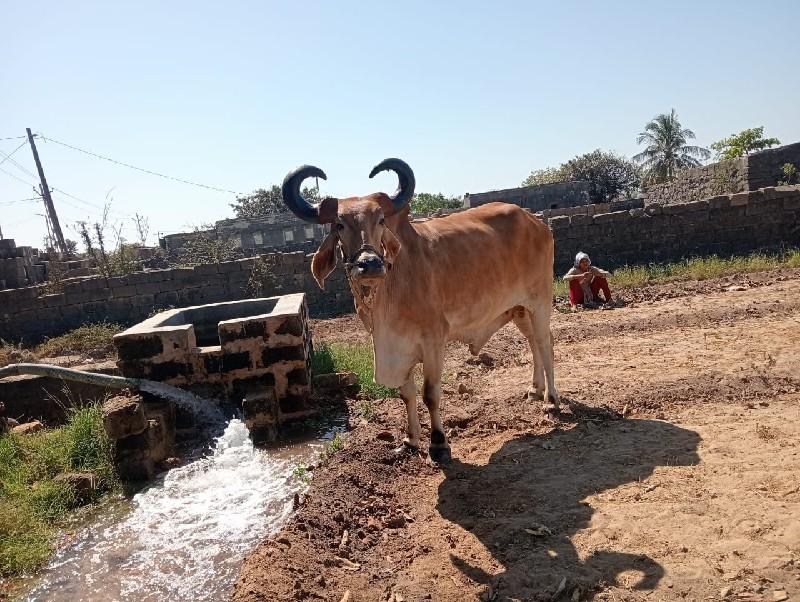 थंबनेल 2