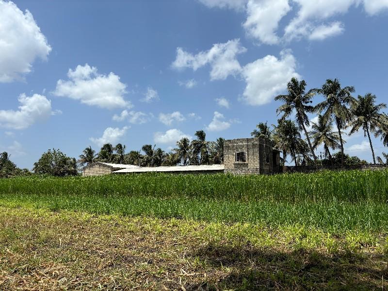 એક માણસની જરૂર છે, પગાર: 9000