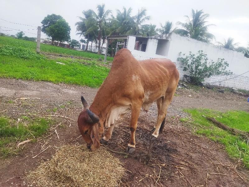 थंबनेल 2