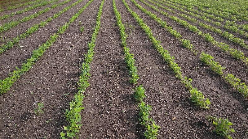 જમીન વેચવાની 17 વીઘા ભાવ 7 લાખ