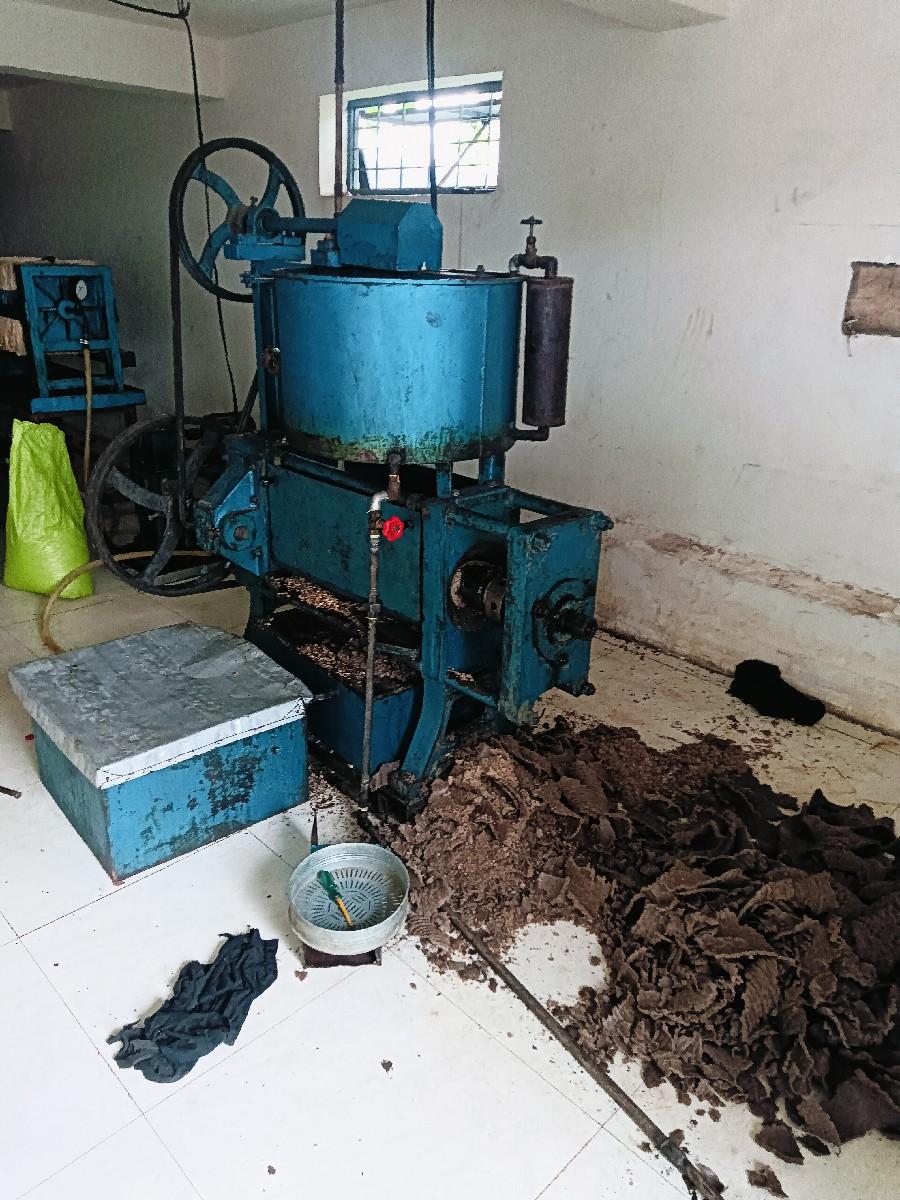 થંબનેલ 3