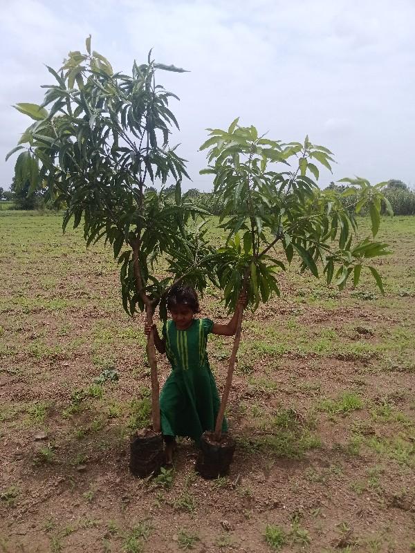 थंबनेल 3