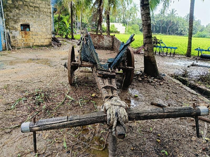 थंबनेल 3