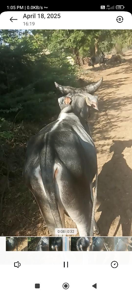 थंबनेल 2