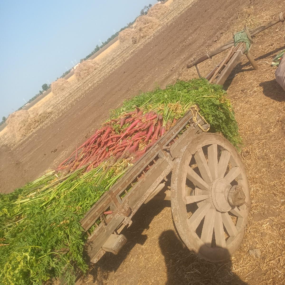 થંબનેલ 2