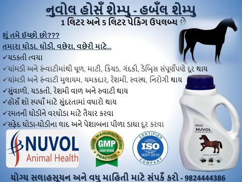 थंबनेल 5