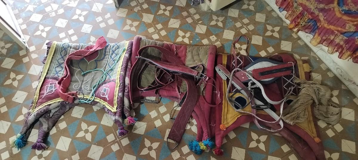 દોનોં સમાન