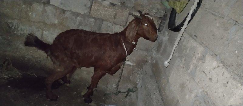 थंबनेल 2