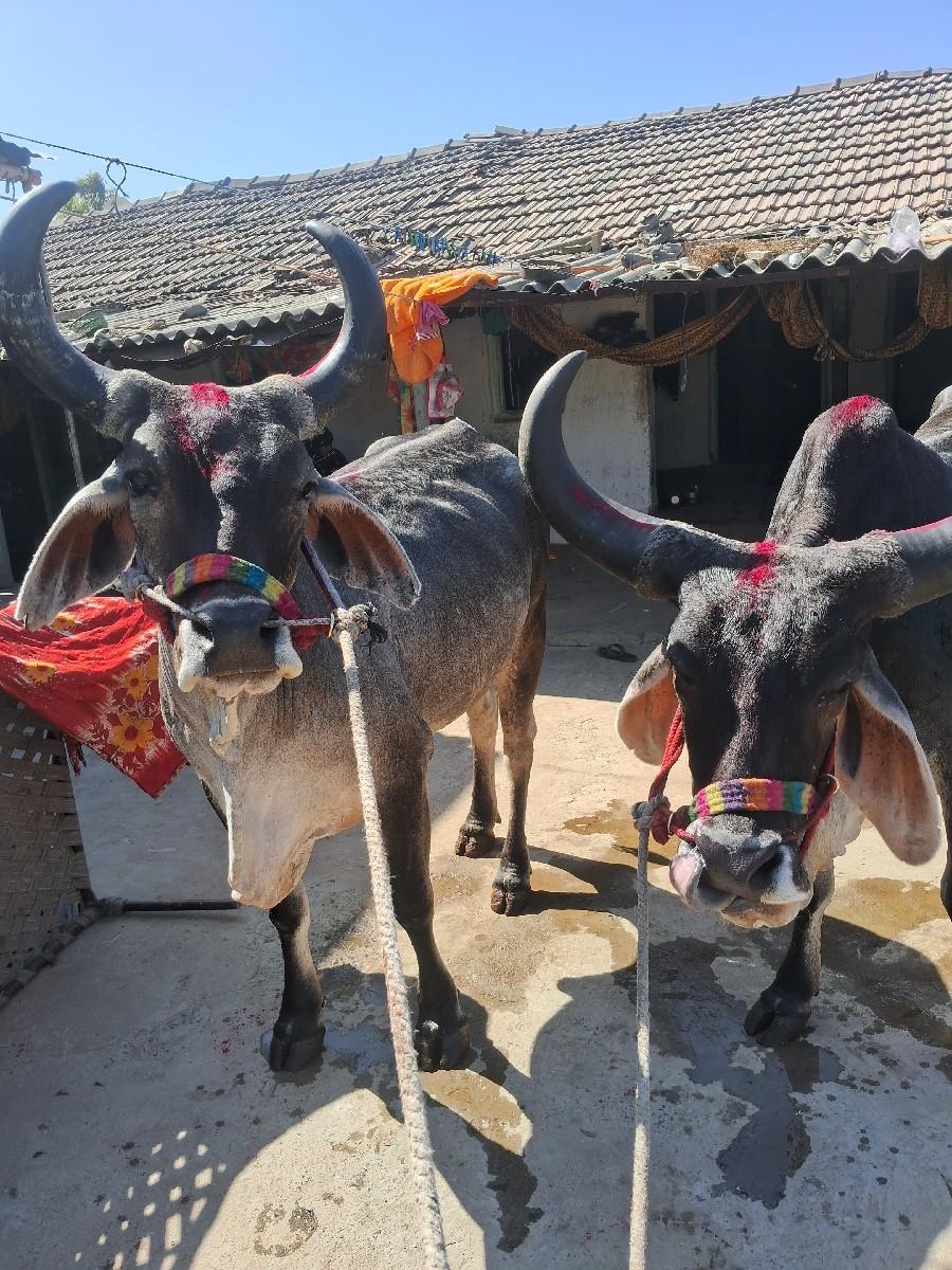 વેચવાના