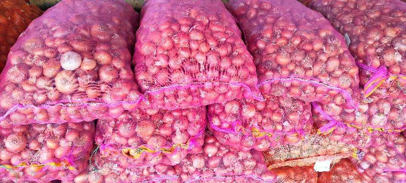 પીળી પતી ડૂંગળી